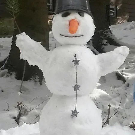 Dame Vam - 4 Se Sdilenou Kuchyni, Kapacita Max 9 Osob * Harrachov