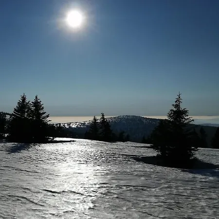 Dame Vam - 4 Se Sdilenou Kuchyni, Kapacita Max 9 Osob * Harrachov