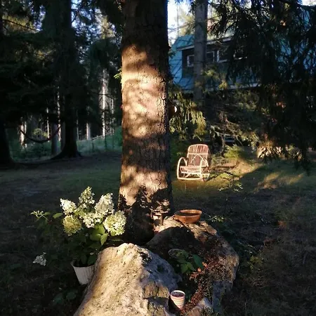 Dame Vam - 4 Se Sdilenou Kuchyni, Kapacita Max 9 Osob * Harrachov