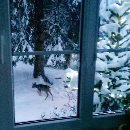 Dame Vam - 4 Se Sdilenou Kuchyni, Kapacita Max 9 Osob Privatunterkunft Harrachov