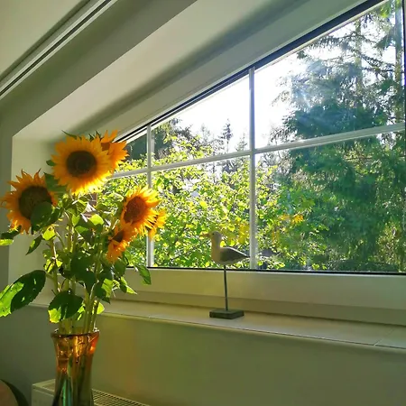Homestay Dame Vam - 4 Se Sdilenou Kuchyni, Kapacita Max 9 Osob *